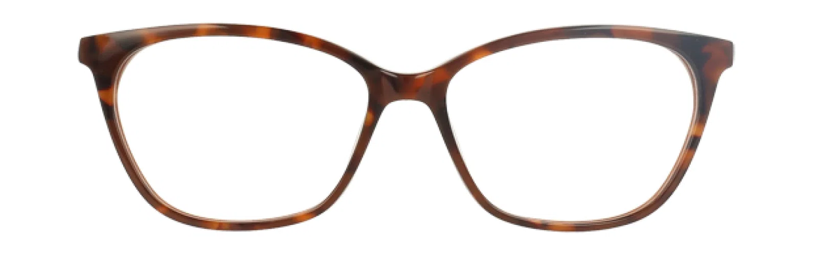 XOXO XOJOLIET Eyeglasses - view 7